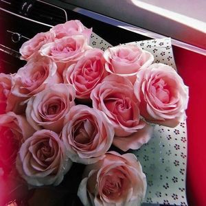 Meet your Posher, Kelly